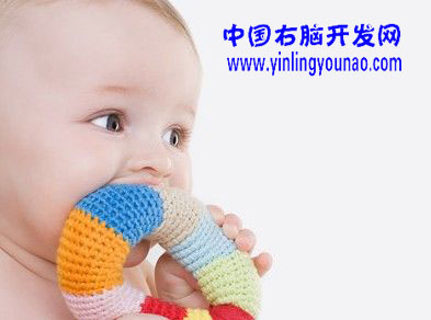 引領(lǐng)右腦，中國全腦開發(fā)網(wǎng)