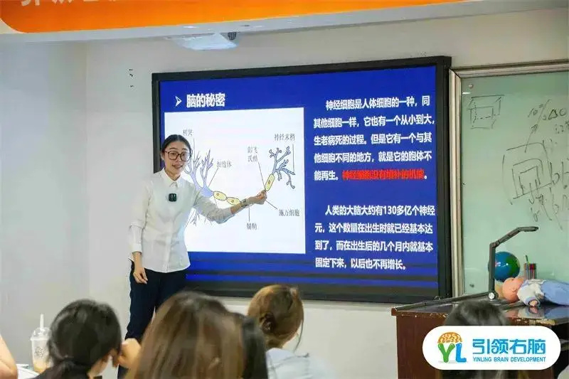 全腦智能測評培訓 全腦智能測評培訓