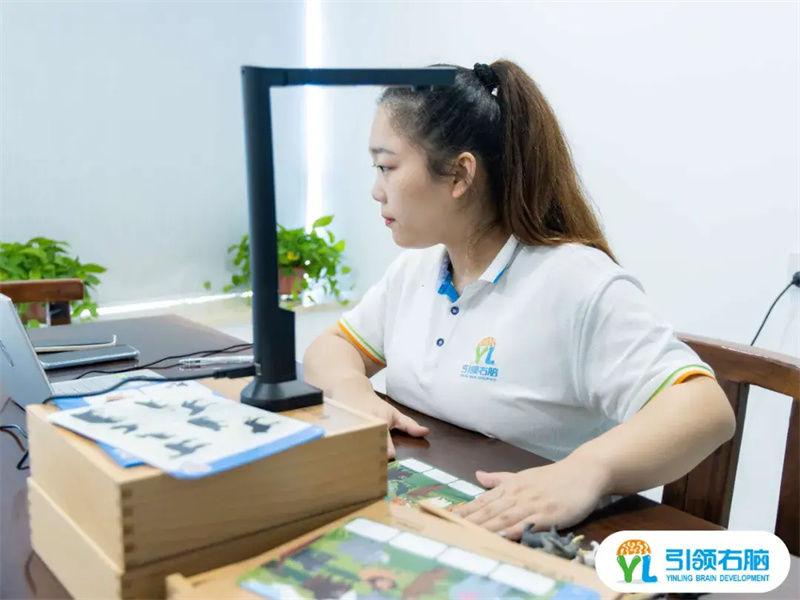 引領右腦視頻連線 引領右腦視頻連線